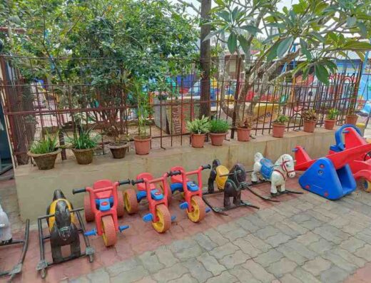 D P Model Public School