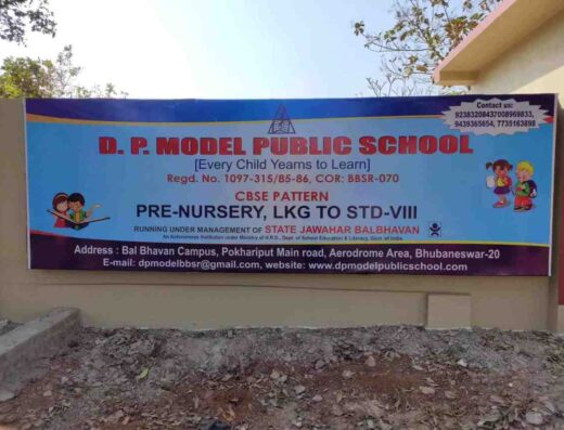 D P Model Public School