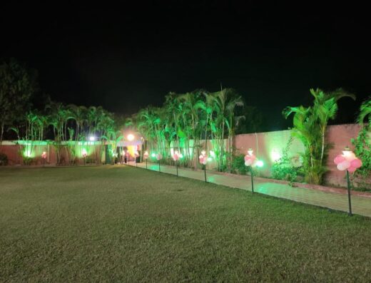 Green Palm