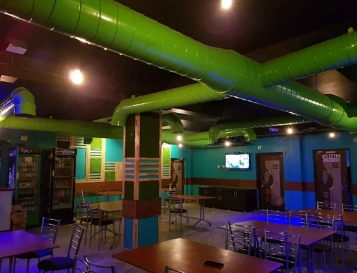Hotel Lion Bar & Restaurant – Punjabi & Tandoori Cuisine with Bar