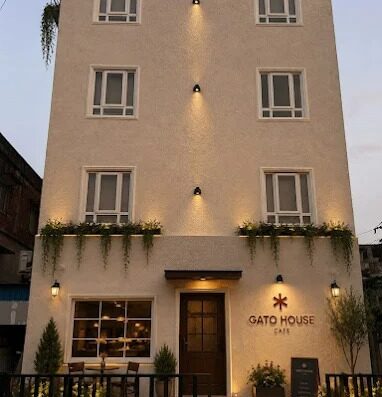 Gato house