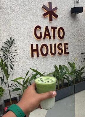 Gato house